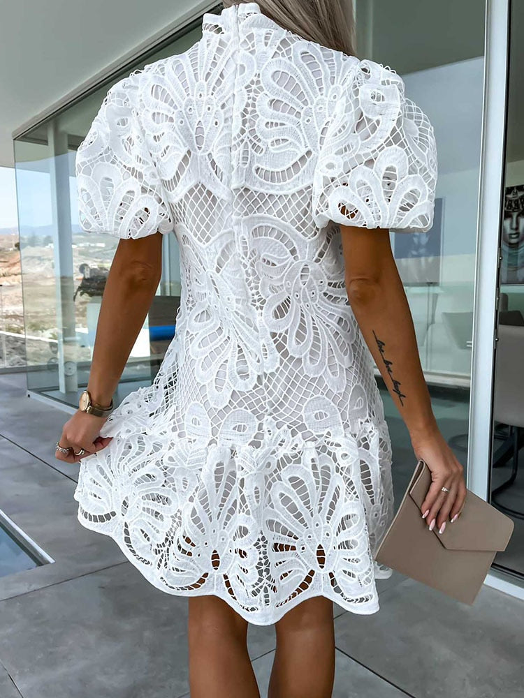 Elara Chic Stylish Puff Sleeve Lace Dress for Women Statement Occasion Edit